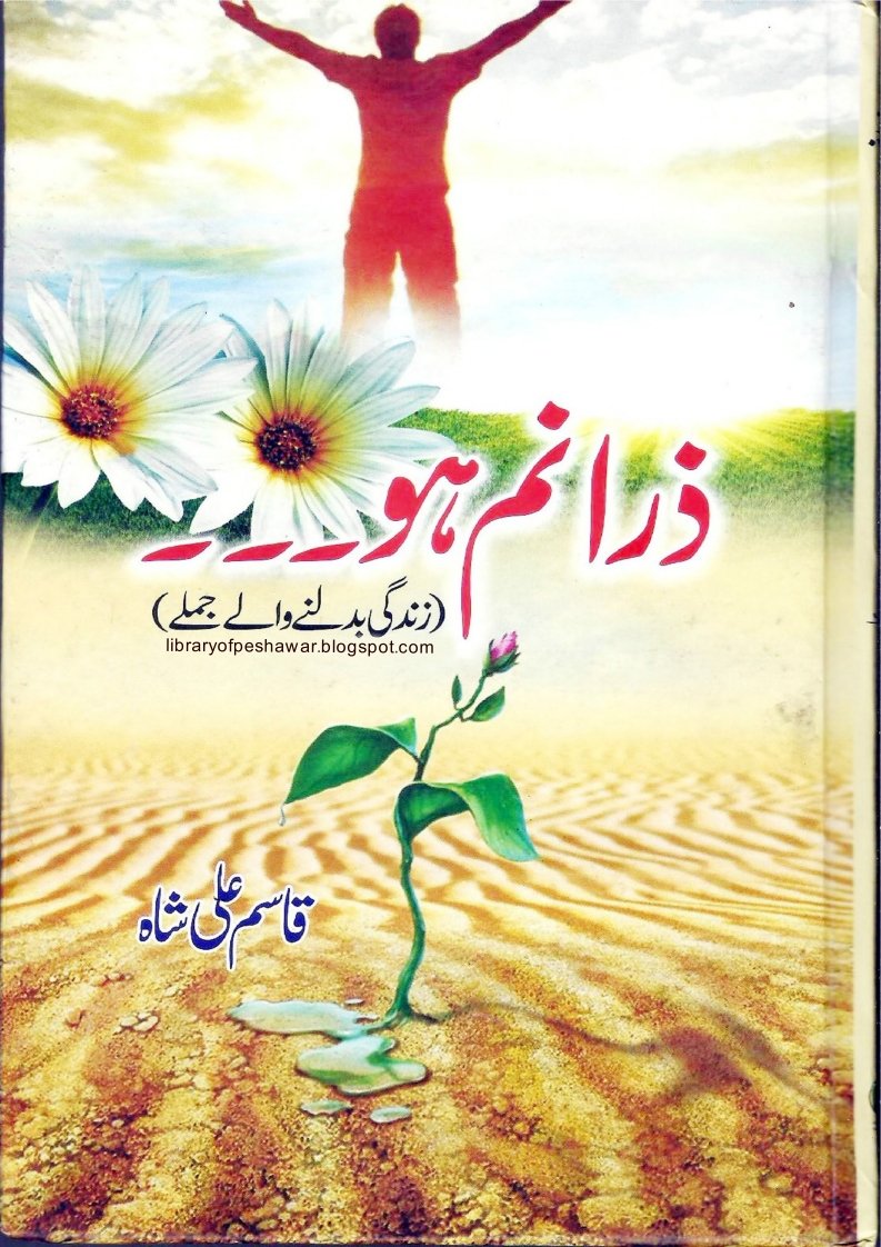 Zara Nam Ho by Qasim Ali Shah Urdu Pdf Book