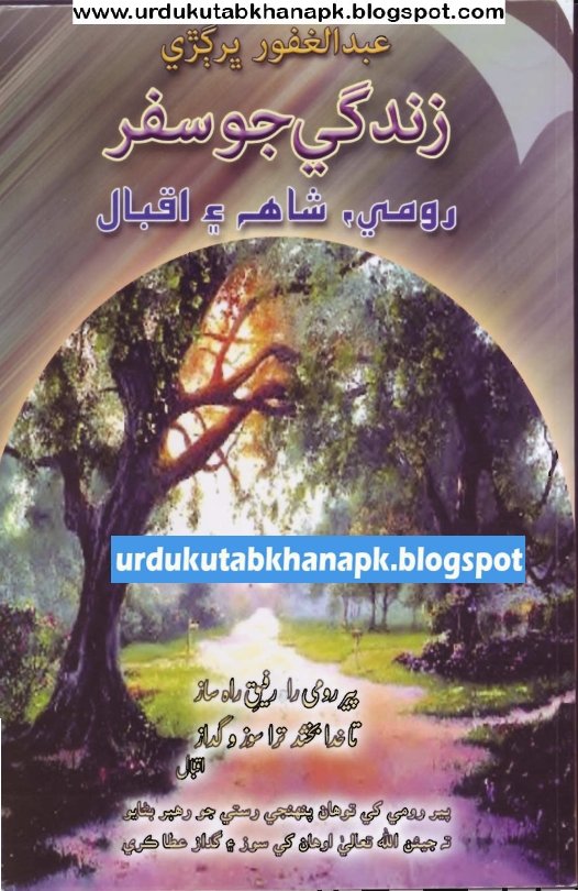 Zindagi Jo Safar by Abdul Ghafoor Bhurgri