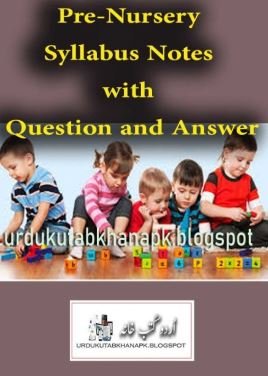 Pre-Nursery Syllabus Notes with Questions and Answers