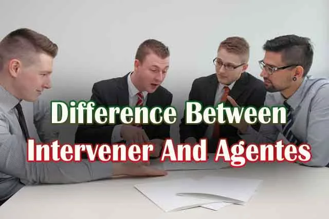 Difference Between Intervener And Agent | Roles And Responsibilities